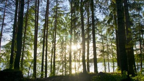 202102031453001 202102031453001