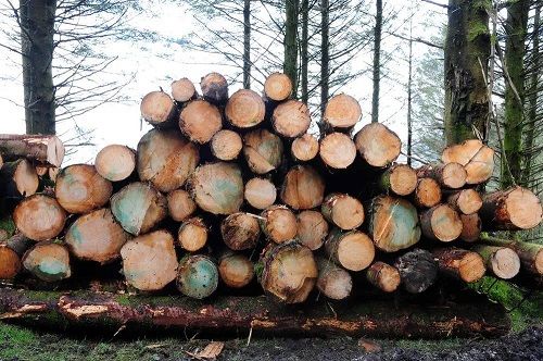 202102040916002 202102040916002